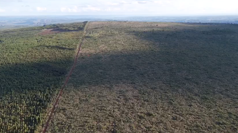 Fazenda à venda no Zona Rural: 