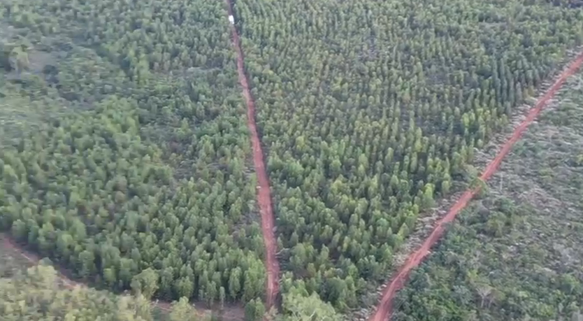 Fazenda à venda no Zona Rural: 