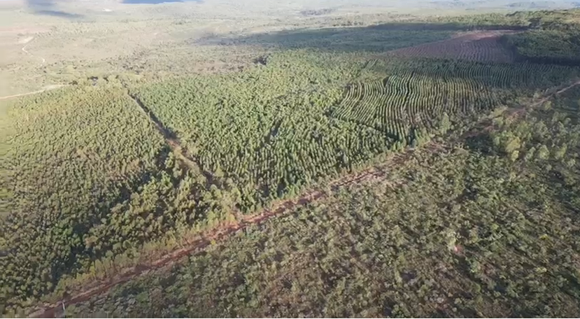 Fazenda à venda no Zona Rural: 