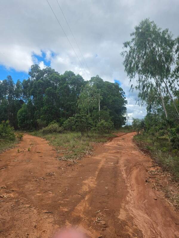 Fazenda à venda no Zona Rural: 