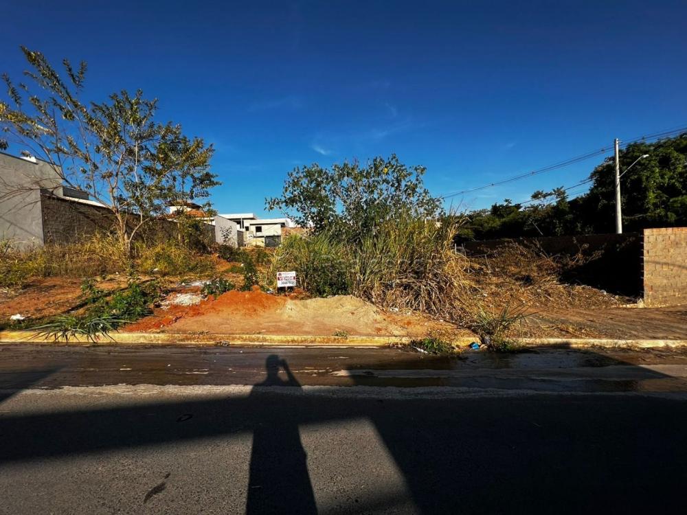 Terreno à venda no Jardim Lago dos Ipês: 