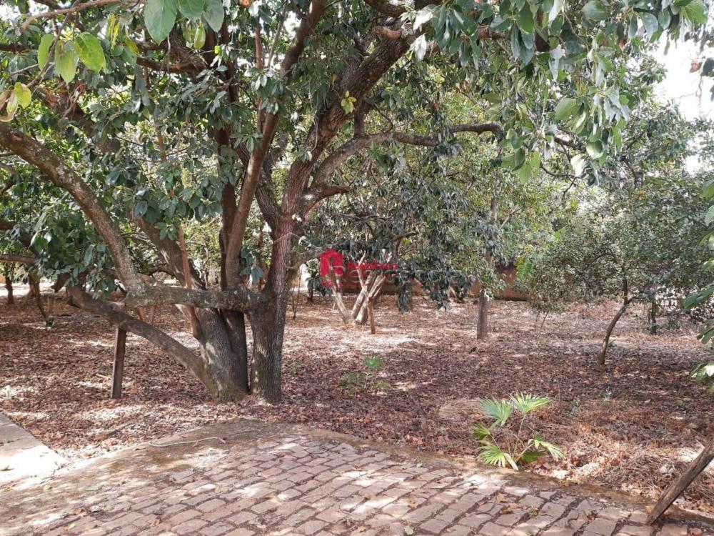 Terreno à venda no Jardim São Domingos: 