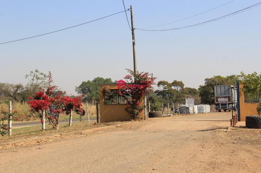 Rural para aluguel no Área Rural: 