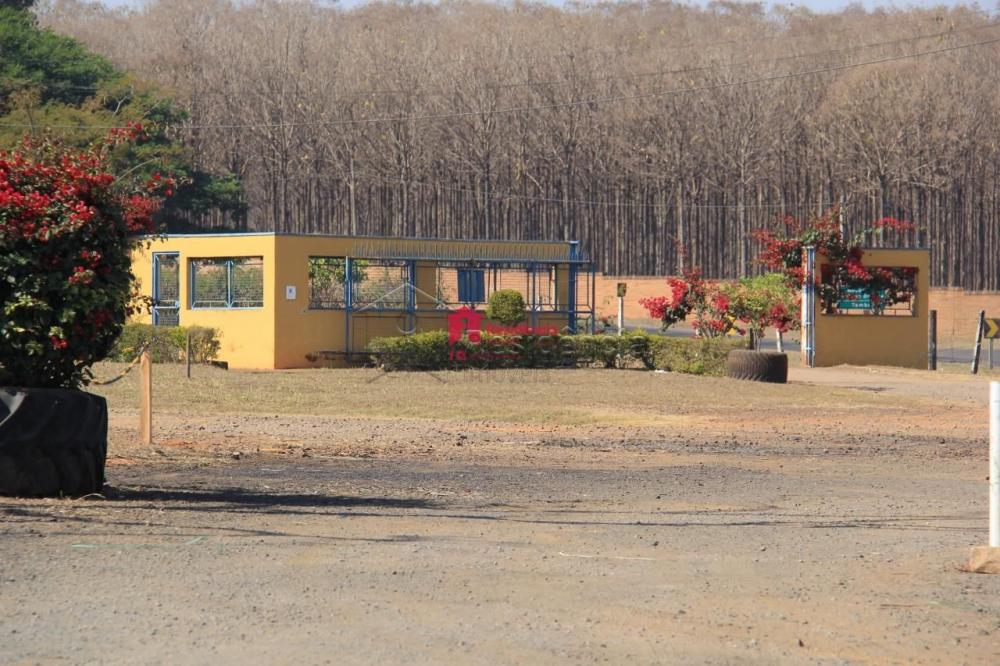 Rural para aluguel no Área Rural: 