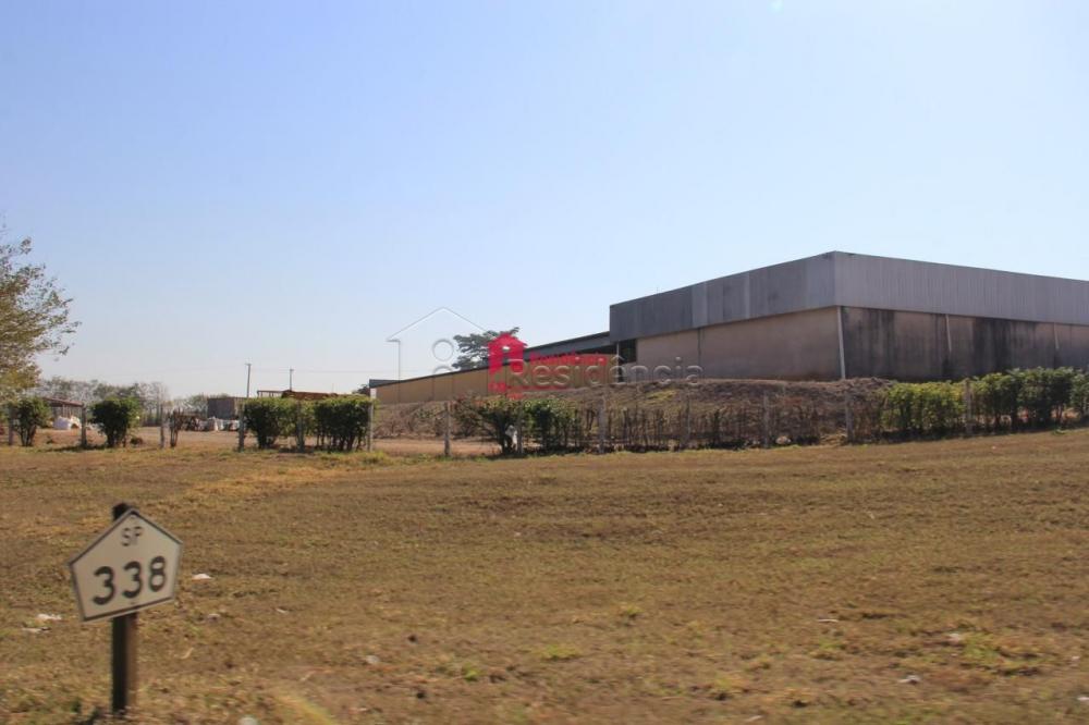 Rural para aluguel no Área Rural: 