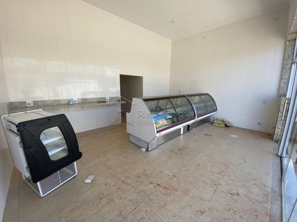 Comercial para aluguel no Vila Carvalho: 