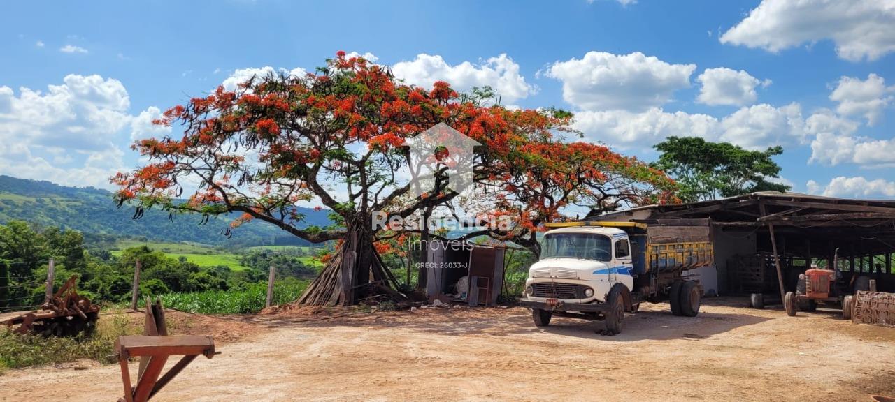 Sítio à venda no Área Rural: 