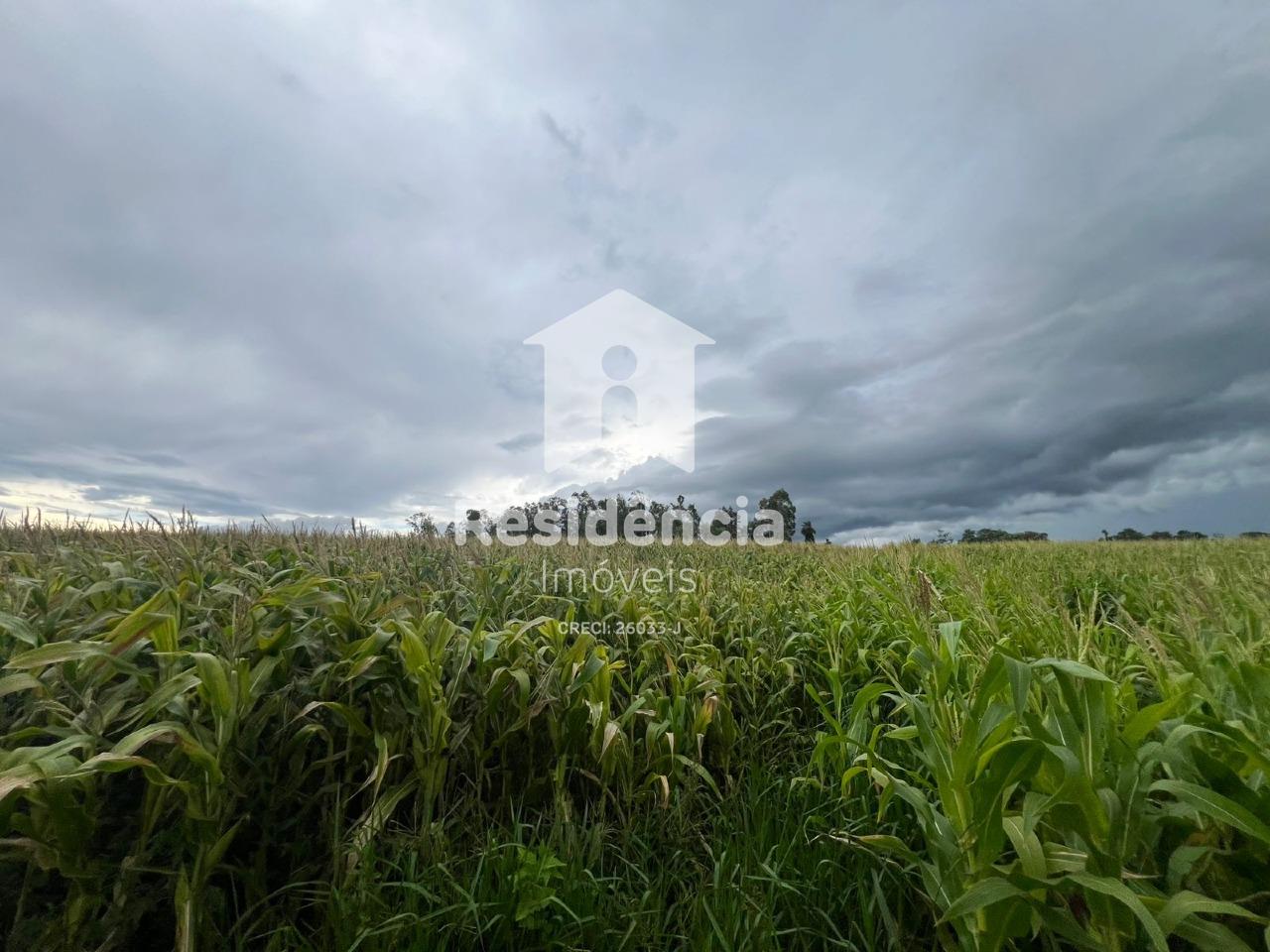 Sítio à venda no Área Rural: 