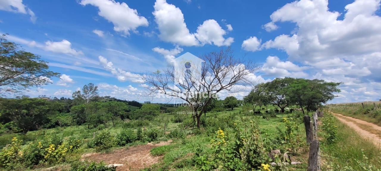 Sítio à venda no Área Rural: 