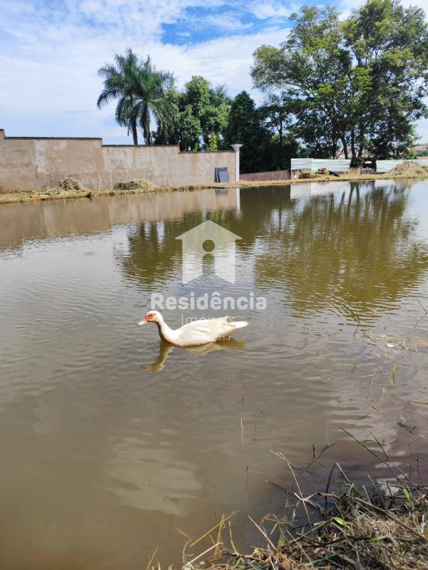 Chácara para aluguel no Aparecida: 
