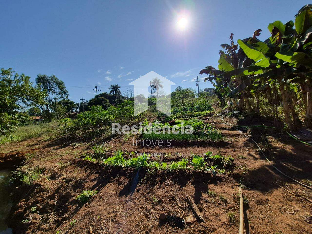 Chácara à venda no Rural : 