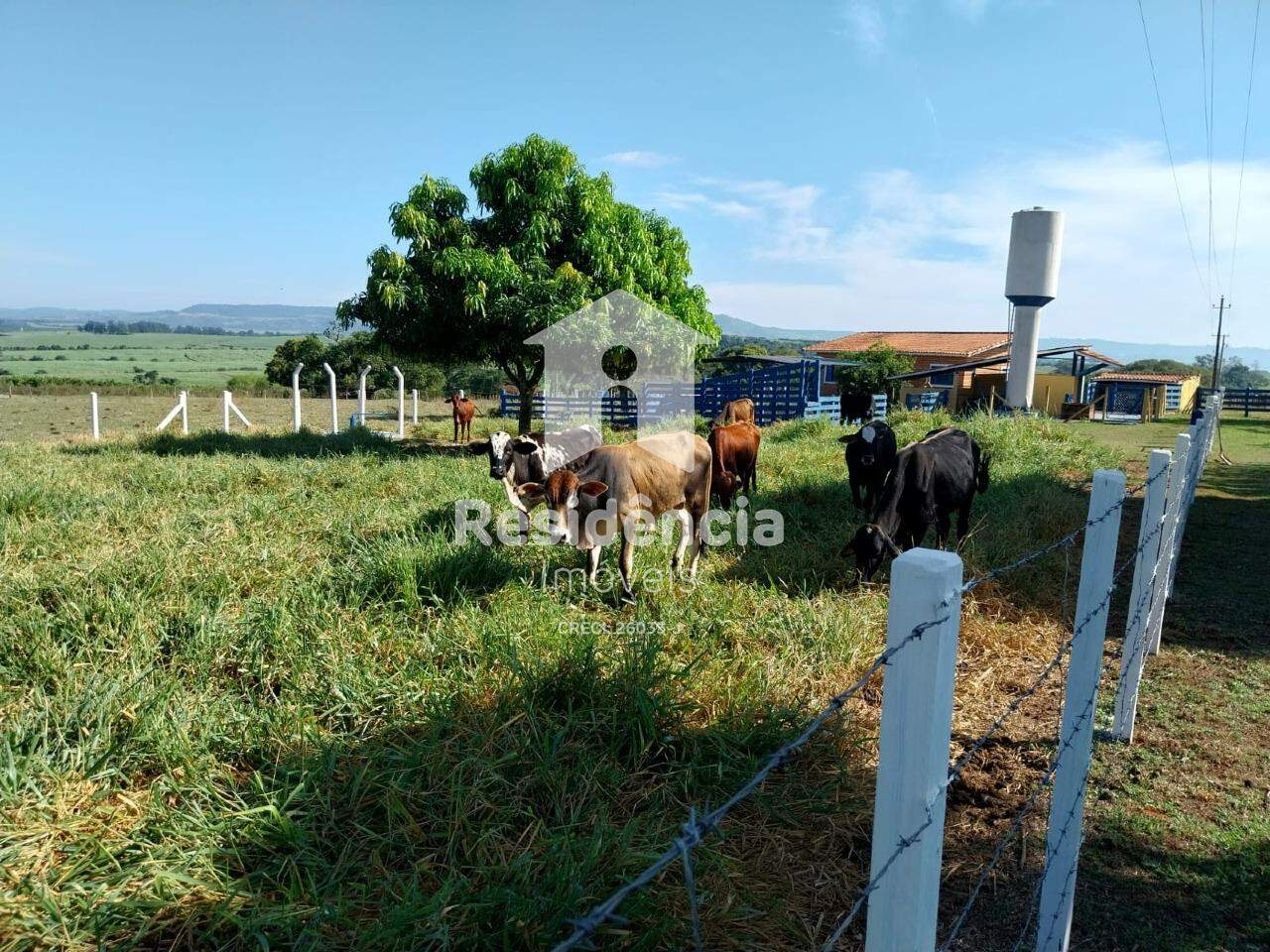 Chácara à venda no Condomínio Copaíba: 