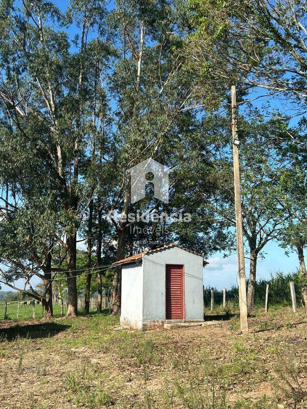 Sítio à venda no Milagre: 