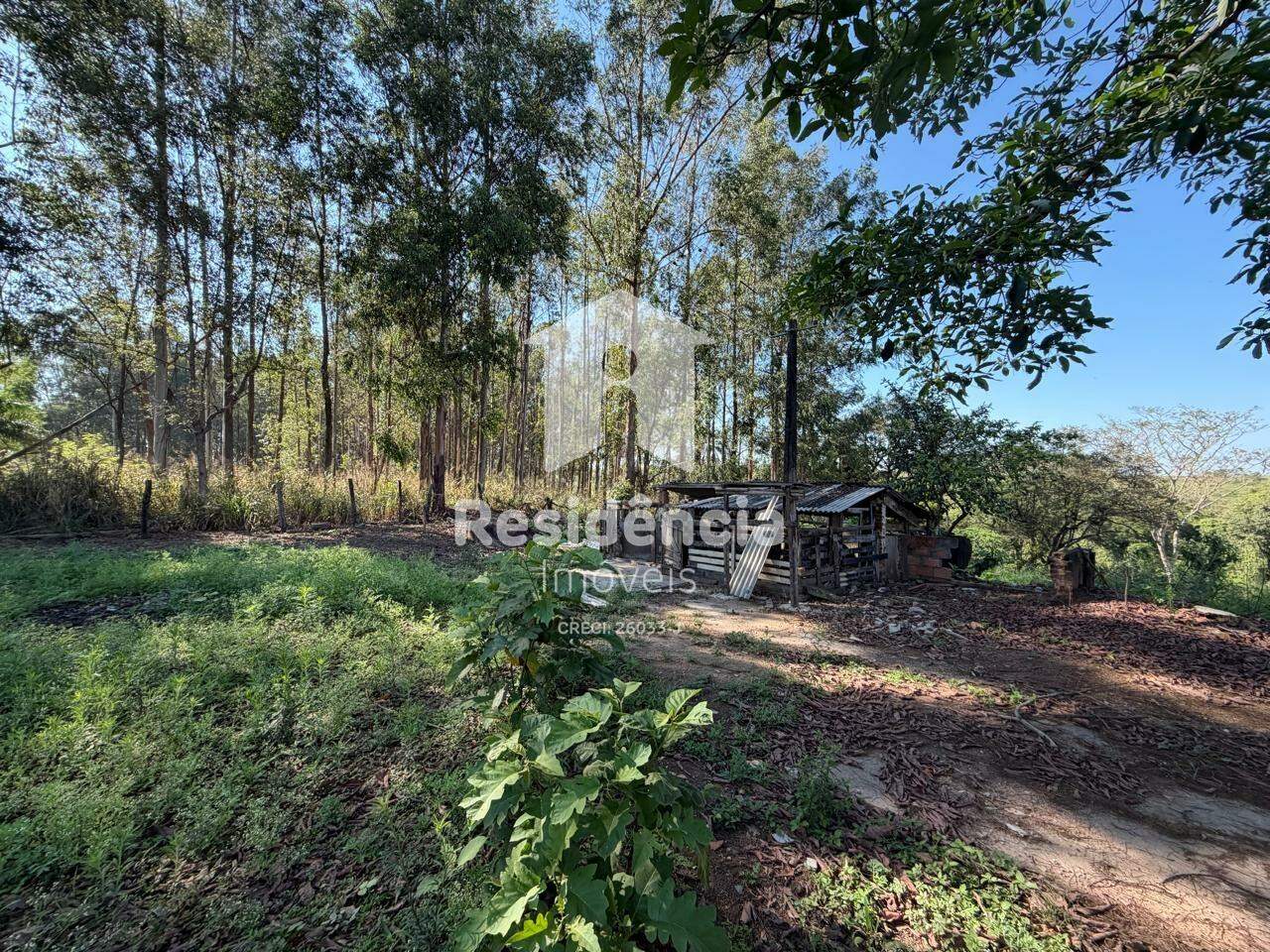Sítio à venda no Rodovia Mococa à Casa Branca: 