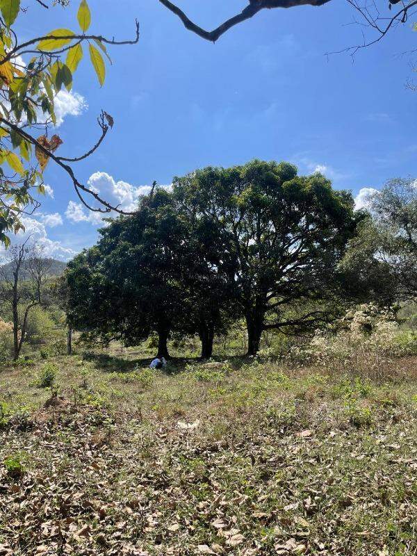 Lote à venda no Varzea da Olaria: 