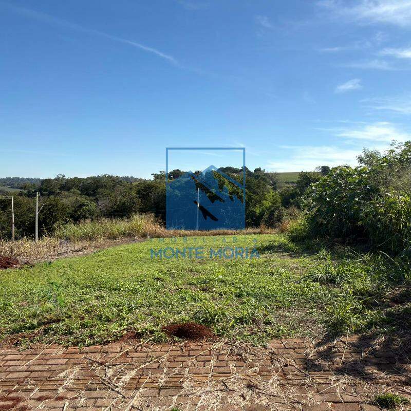 Terreno à venda no BORBOLETA: 