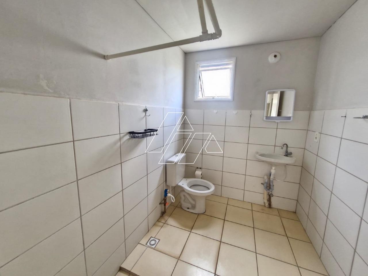 Apartamento à venda no Paulo Correa de Lara: 