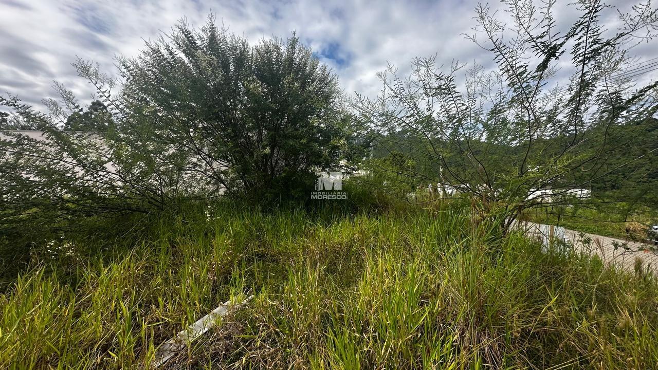 Terreno à venda no bairro Limeira Baixa: 