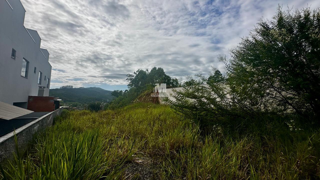 Terreno à venda no bairro Limeira Baixa: 