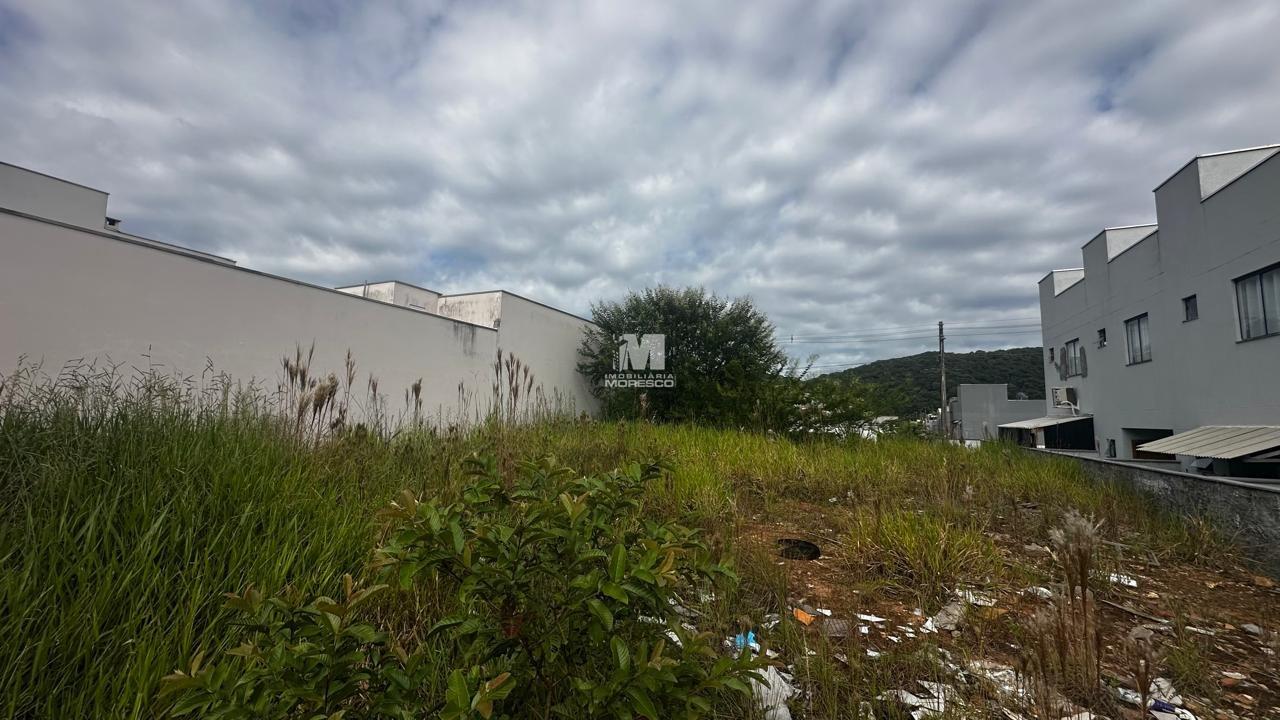 Terreno à venda no bairro Limeira Baixa: 