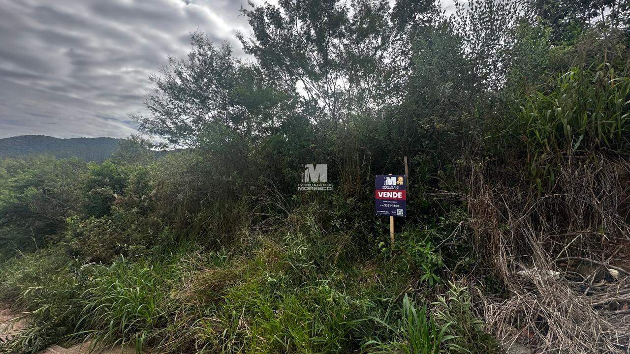 Terreno à venda no bairro Limeira Baixa: 