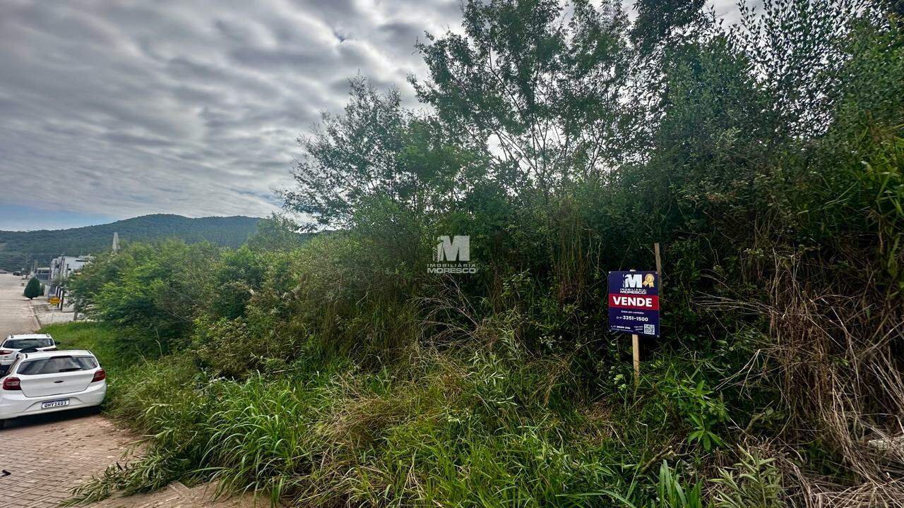 Terreno à venda no bairro Limeira Baixa: 