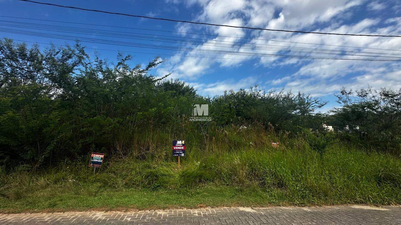 Terreno à venda no bairro Limeira Baixa: 