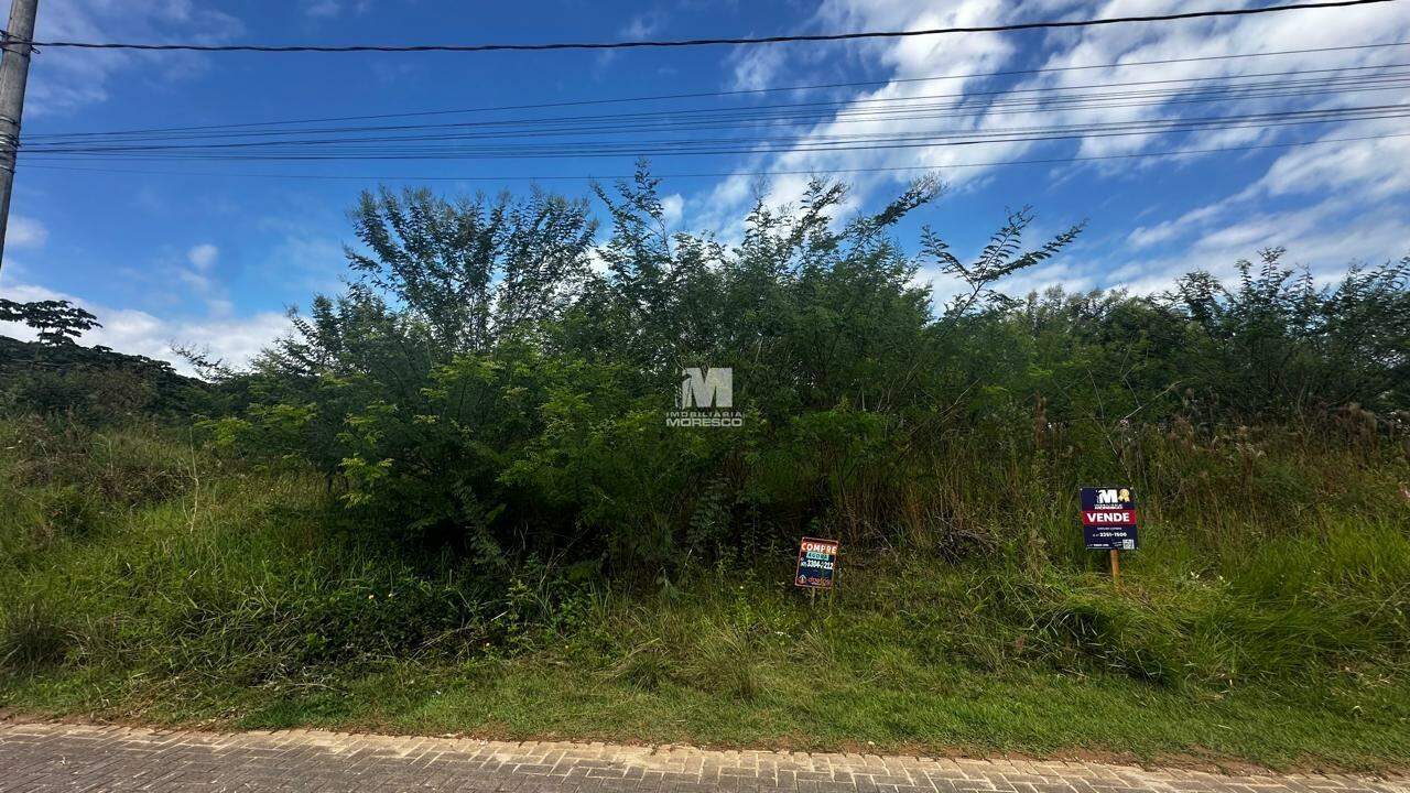 Terreno à venda no bairro Limeira Baixa: 