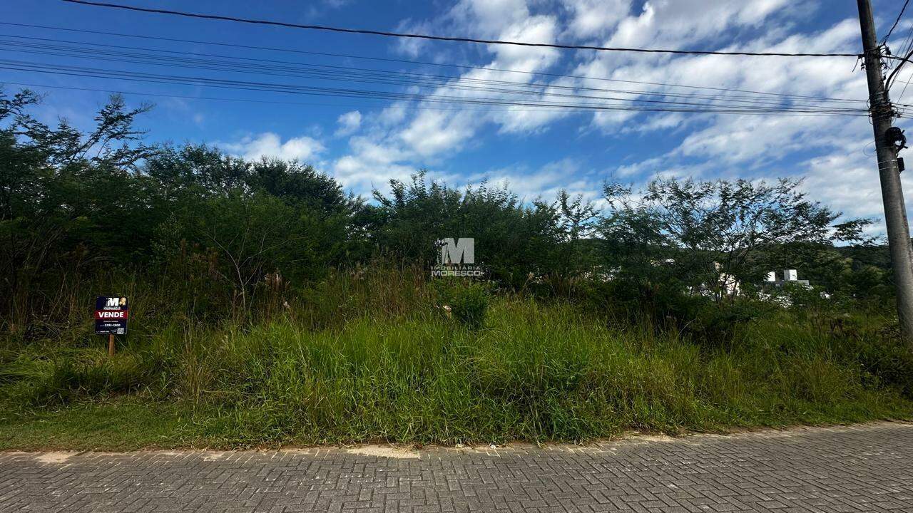 Terreno à venda no bairro Limeira Baixa: 