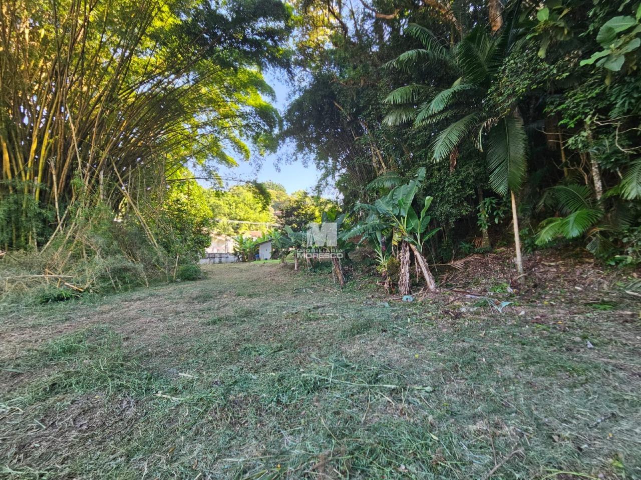 Terreno à venda no bairro São Pedro: 