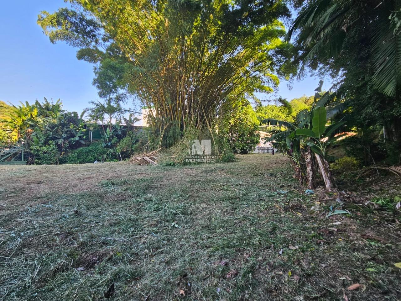Terreno à venda no bairro São Pedro: 
