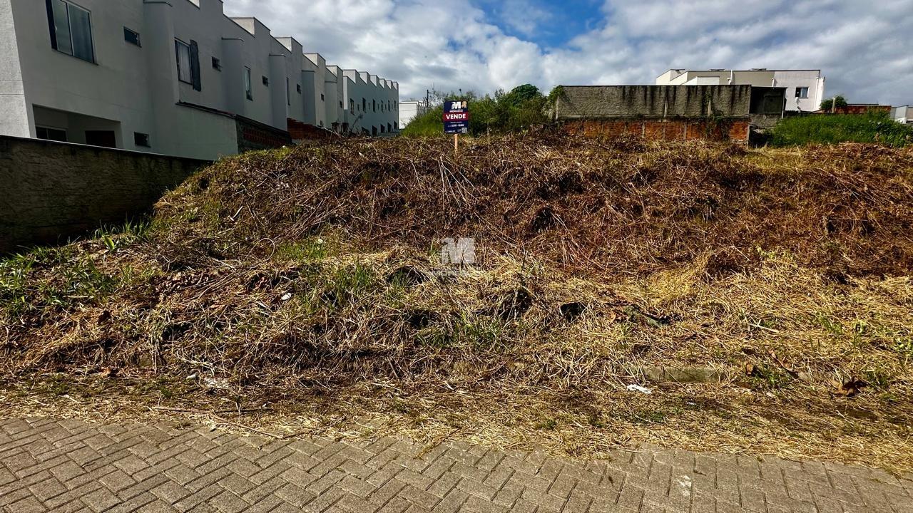 Terreno à venda no bairro Limeira Baixa: 