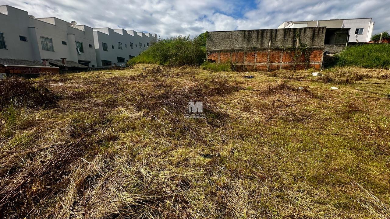 Terreno à venda no bairro Limeira Baixa: 