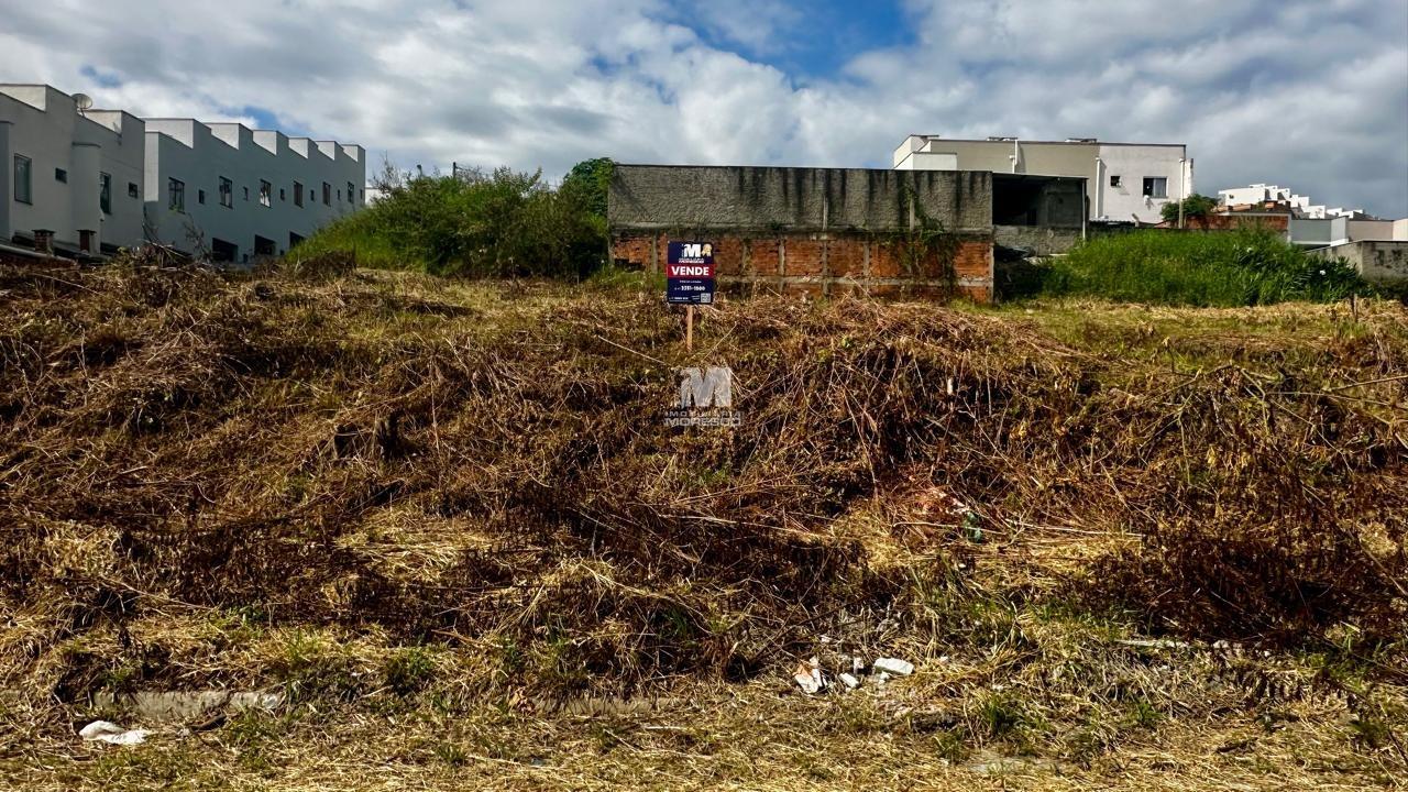 Terreno à venda no bairro Limeira Baixa: 