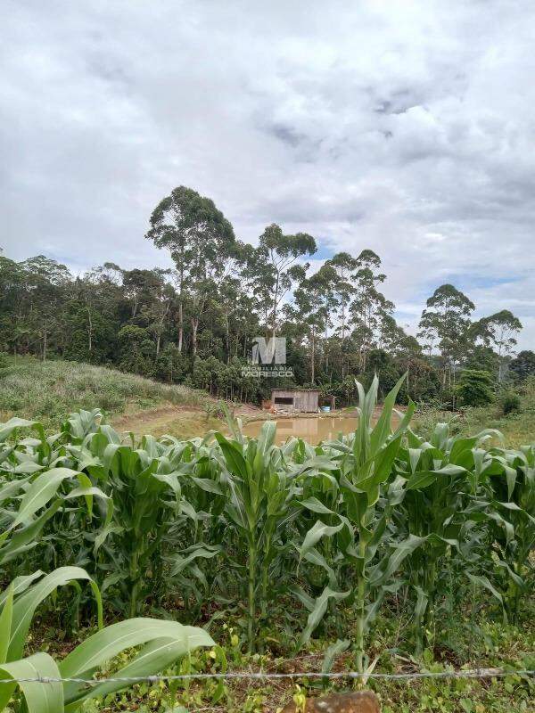 Terreno à venda no bairro Chapadão Figueiras: 