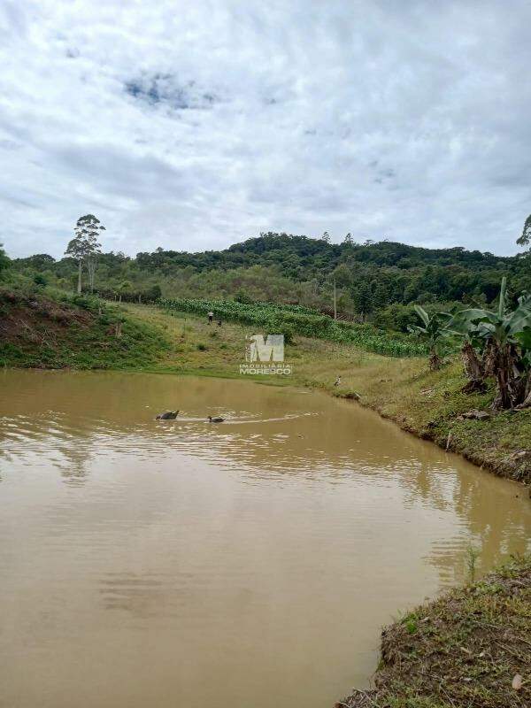 Terreno à venda no bairro Chapadão Figueiras: 