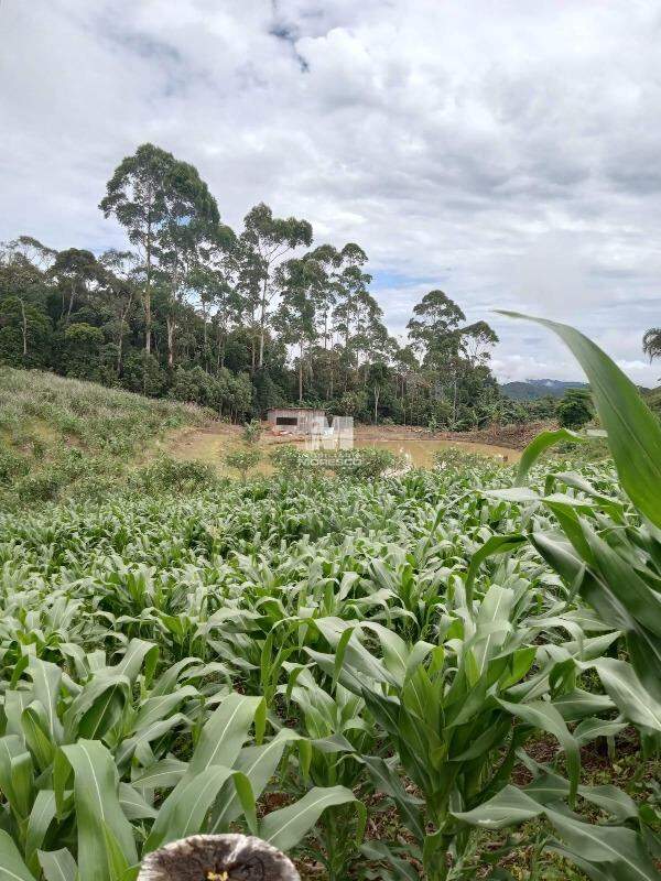 Terreno à venda no bairro Chapadão Figueiras: 