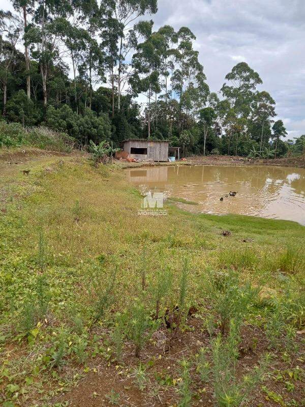 Terreno à venda no bairro Chapadão Figueiras: 