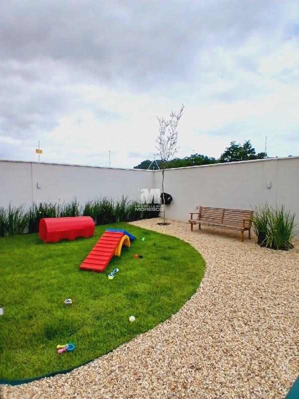 Apartamento para aluguel no bairro Rio Branco: 