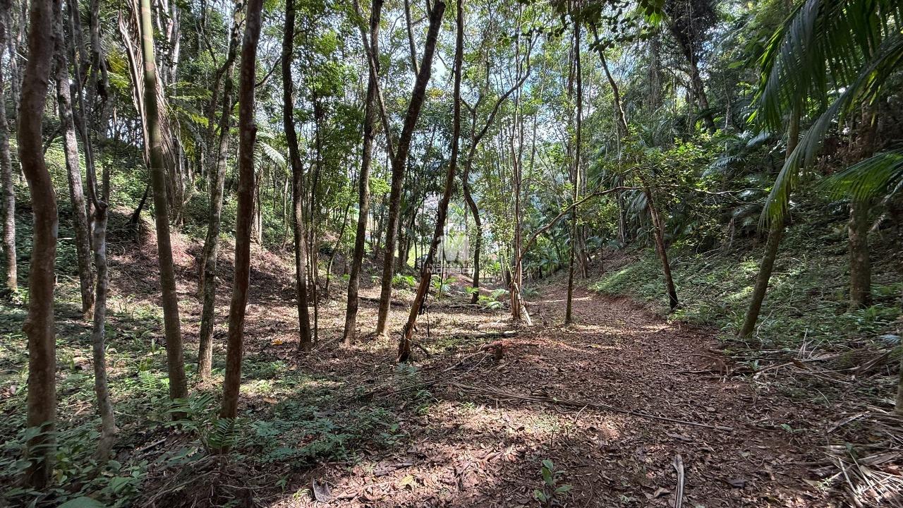Terreno à venda no bairro Primeiro de Maio: 
