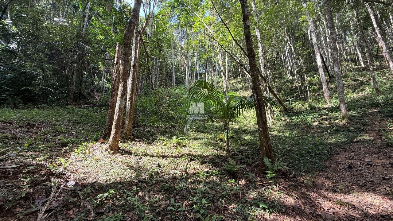 Terreno à venda no bairro Primeiro de Maio: 