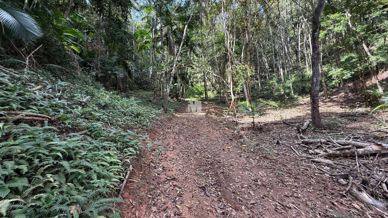 Terreno à venda no bairro Primeiro de Maio: 