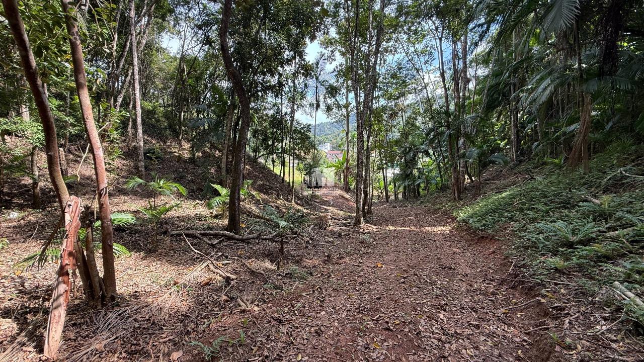 Terreno à venda no bairro Primeiro de Maio: 