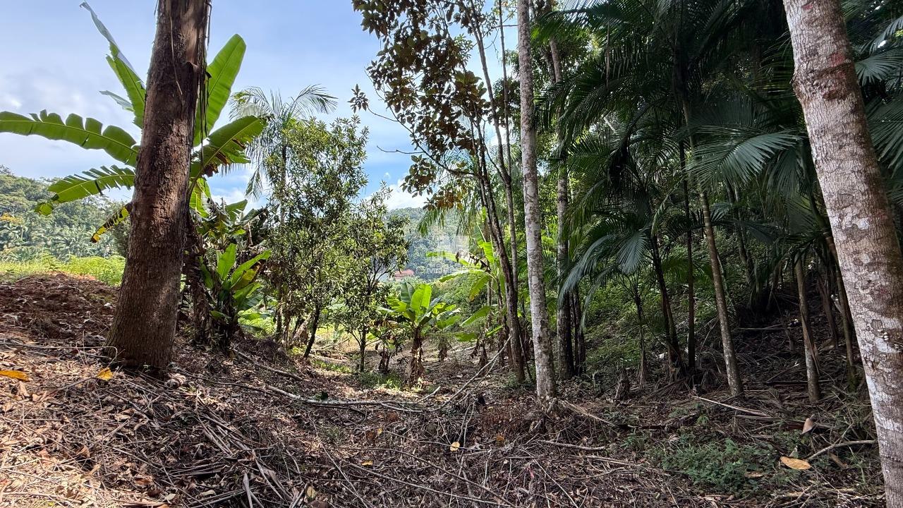 Terreno à venda no bairro Primeiro de Maio: 