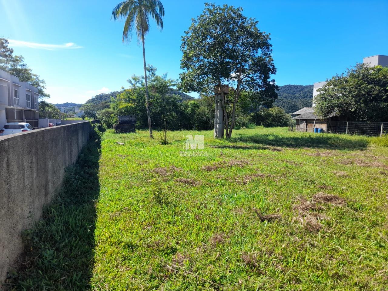 Terreno à venda no bairro Dom Joaquim: 
