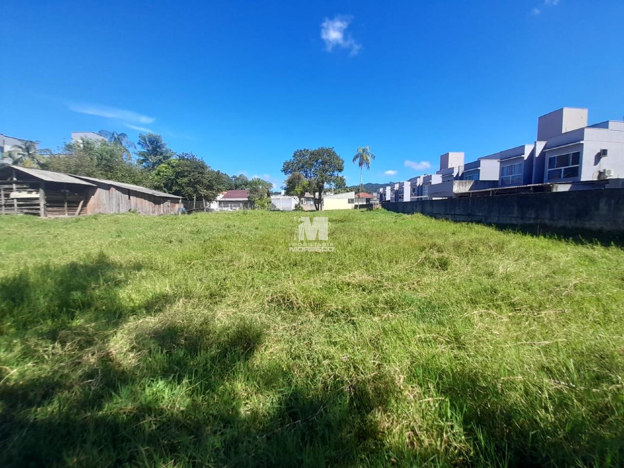 Terreno à venda no bairro Dom Joaquim: 