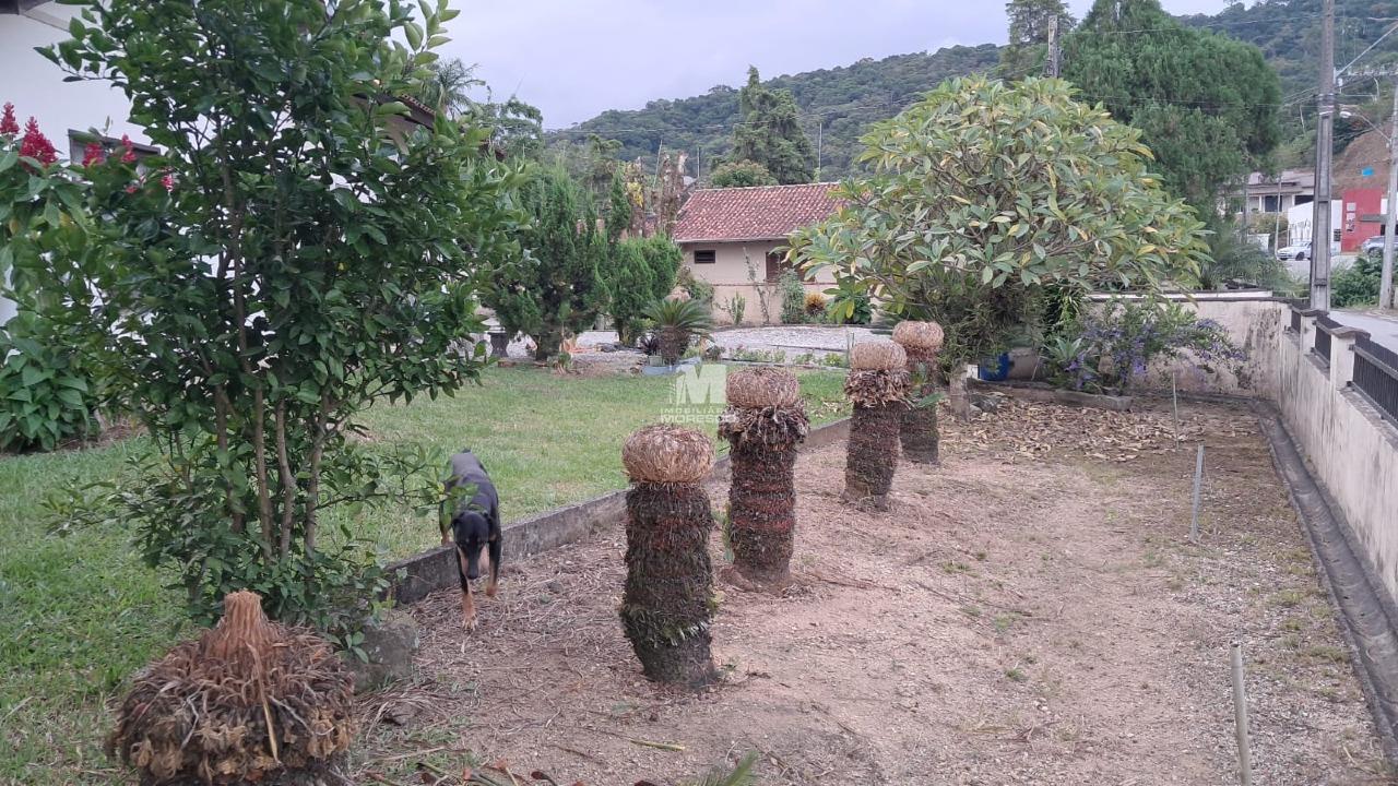 Terreno à venda no bairro Paquetá: 