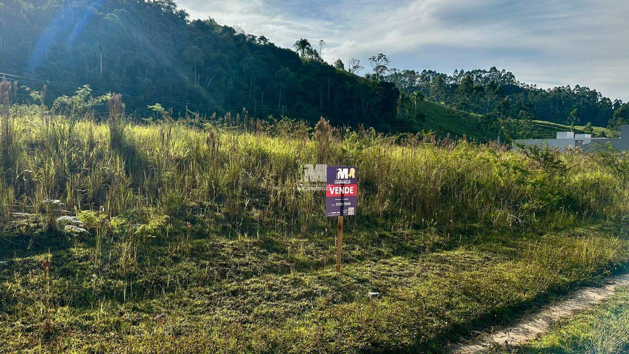 Terreno à venda no bairro São João: 
