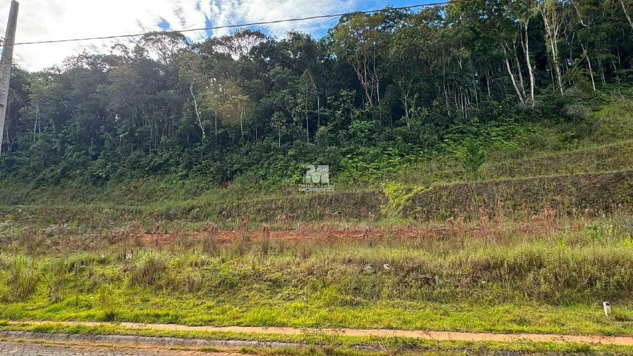 Terreno à venda no bairro Cedro Alto: 