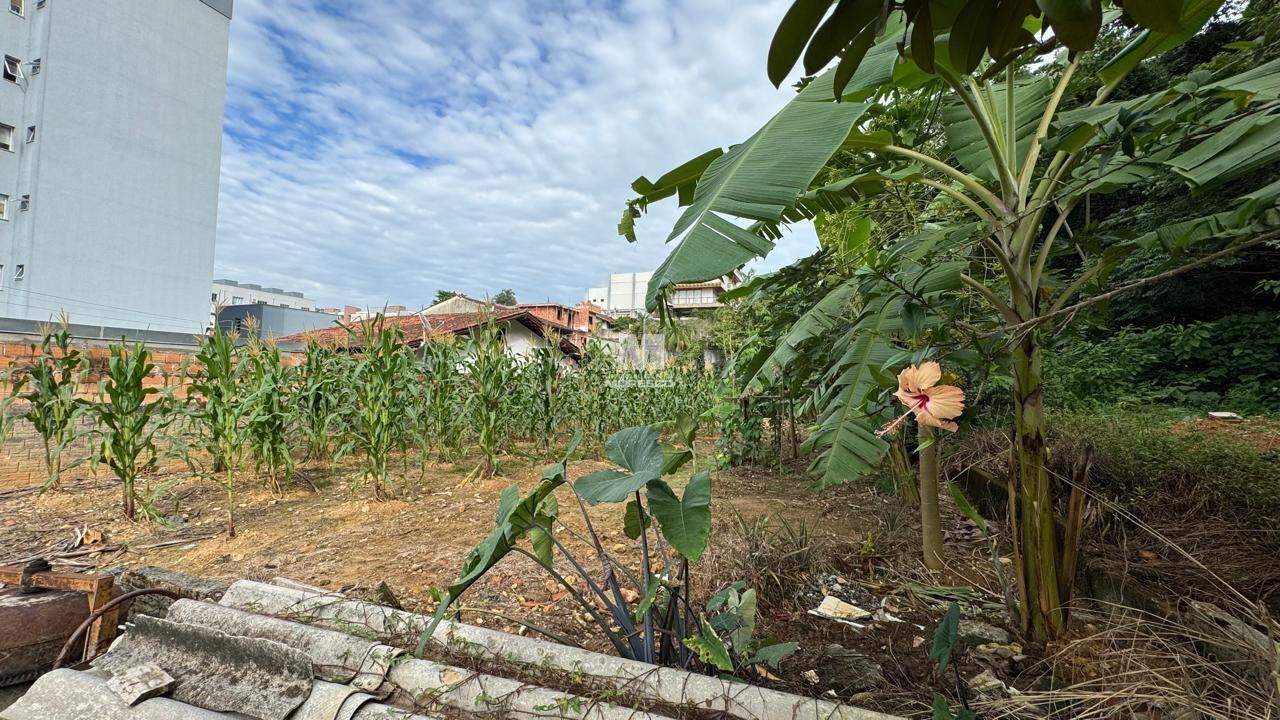 Terreno à venda no bairro Dom Joaquim: 